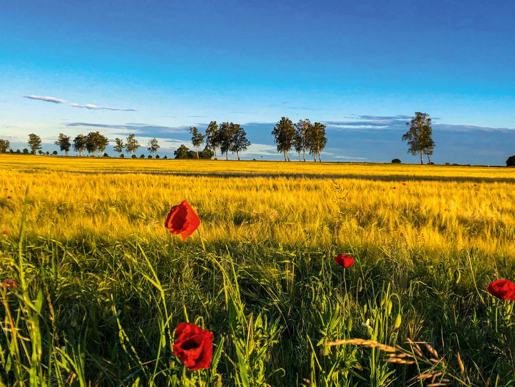 Reizvolle Landschaft