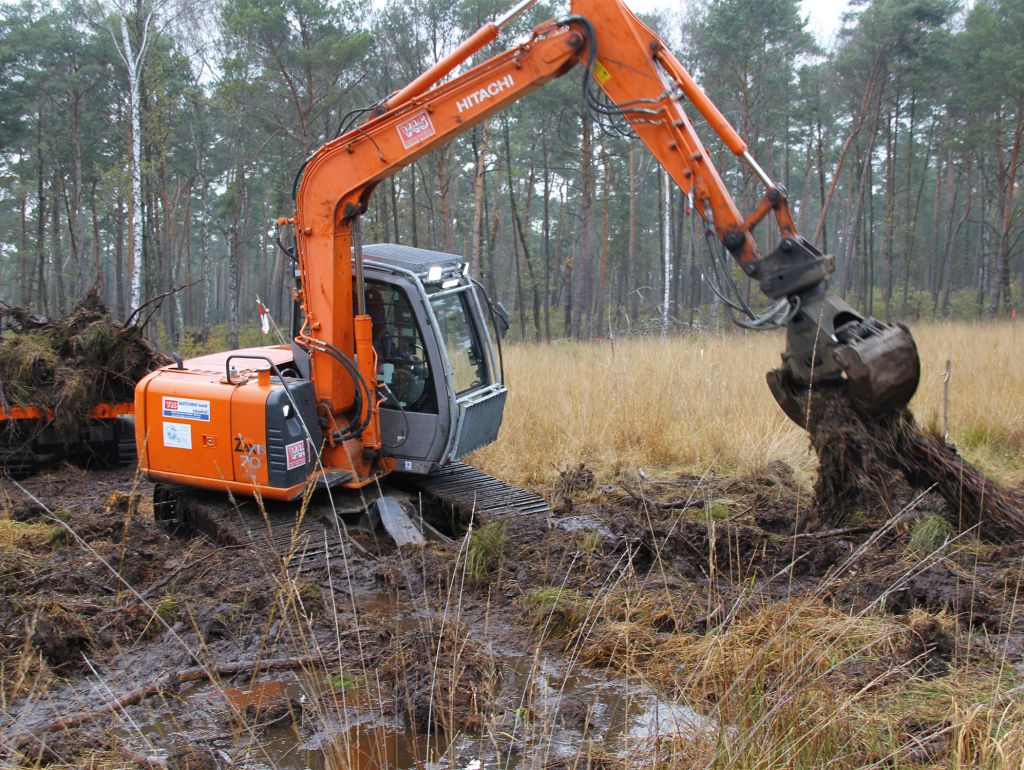 Bagger zieht baumstümpfe aus dem moor