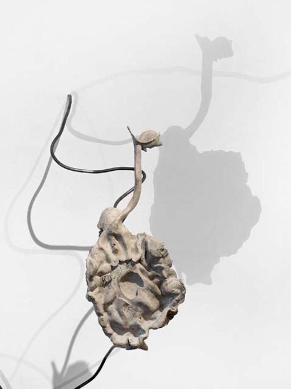 Mariechen Danz, Digestive System 3d (cement), 2019