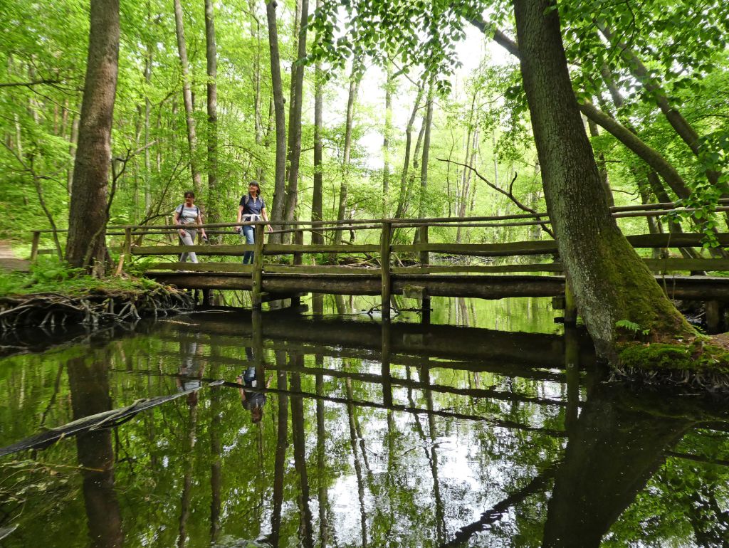 Wanderer überqueren die Schlaube