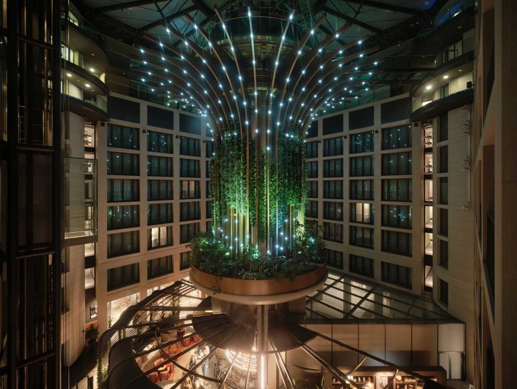 Living Tree in bei Nacht
