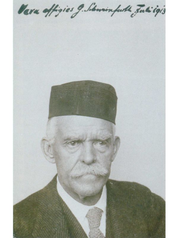 Porträtphoto von Georg Schweinfurth (1913) 
