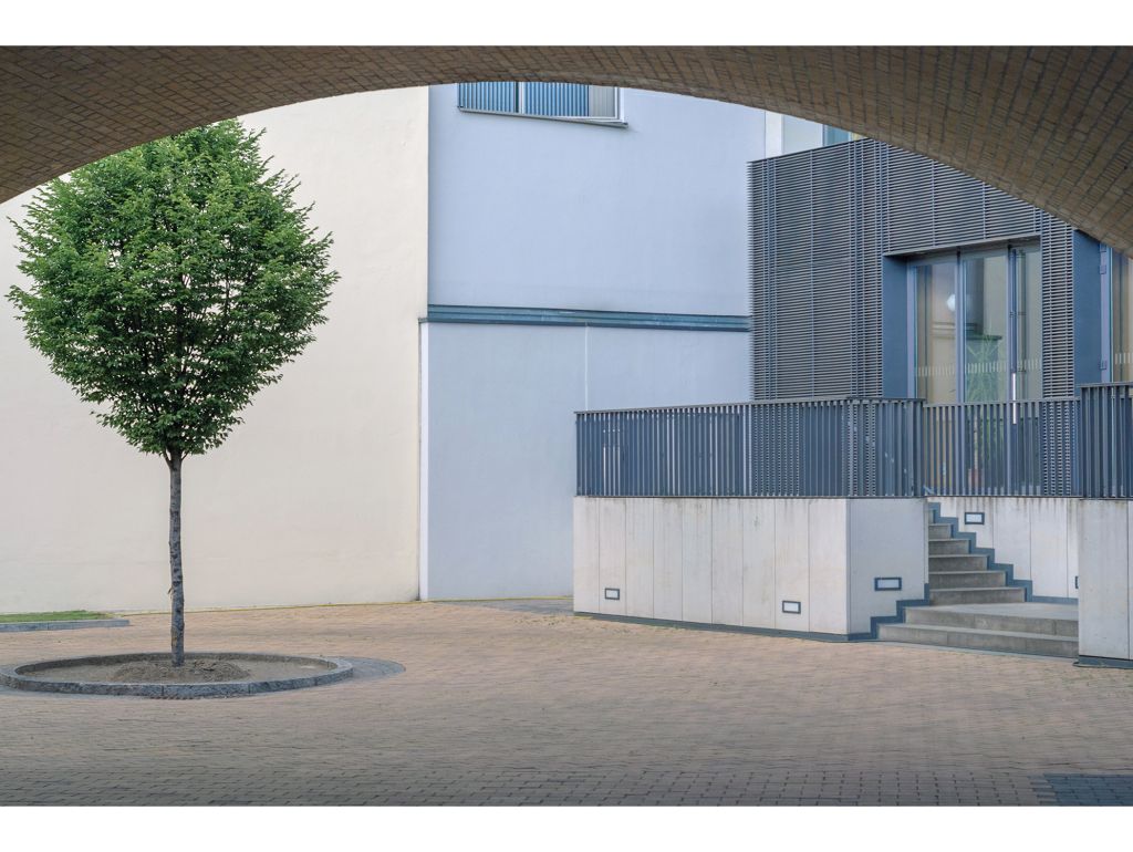 Lotti Nass Hof mit Baum, 2010 