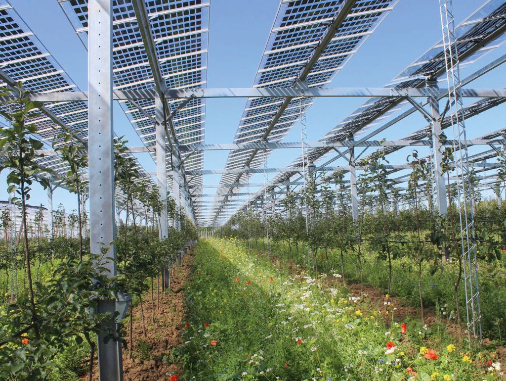 Urban Farming auf dem Dach