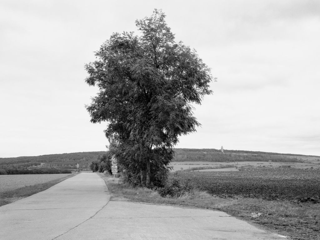 Buchenwald Blick auf Ettersberg