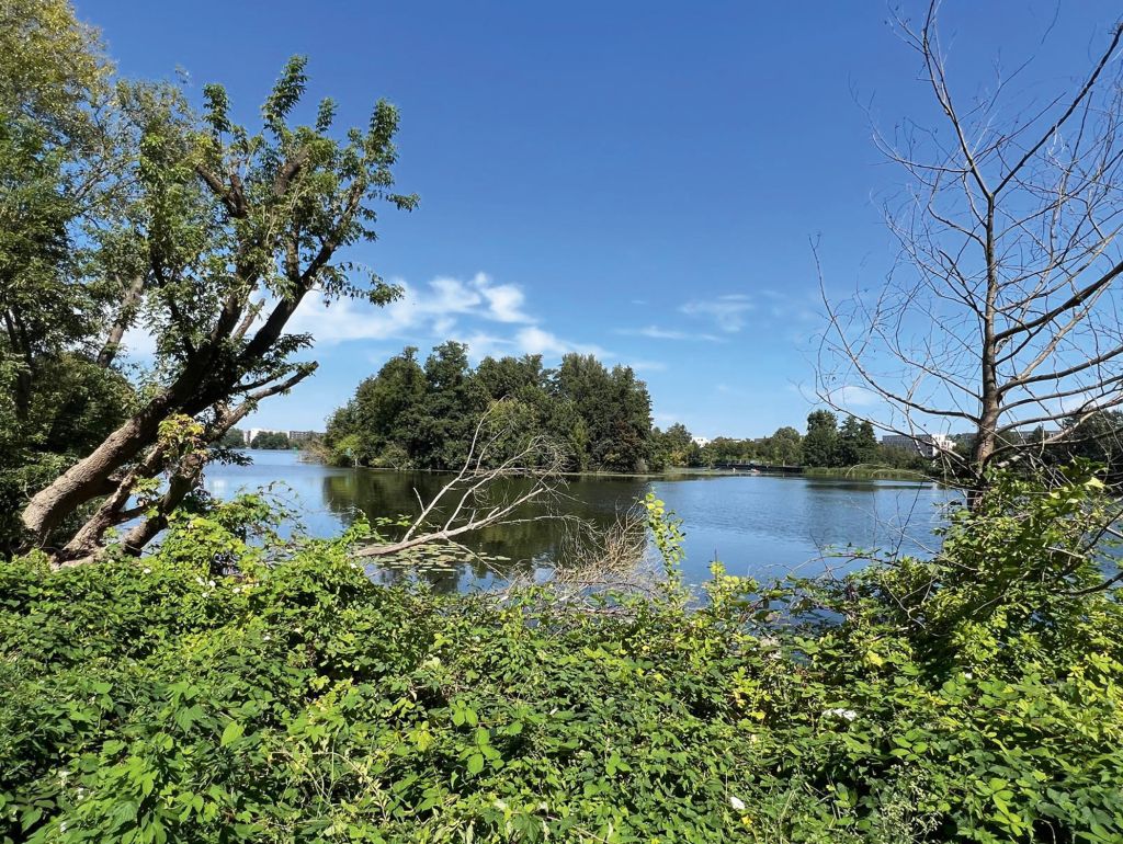 Die Insel Eiswerder liegt in der Havel im Berliner Bezirk Spandau  und ist durch ihre industrielle Vergangenheit gepräg. Verbunden ist die Insel mit dem Festland durch die Eiswerderbrücke, eine markante Stahlfachwerkbrücke aus dem frühen 20. Jahrhundert. Sie überspannt die Havel und stellt die wichtigste Verbindung zur Insel dar