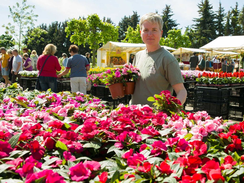 Verkaufsstand mit vielen Blumen