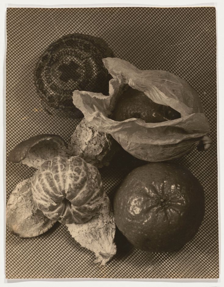 Irene Hoffmann, Stillleben mit Orangen