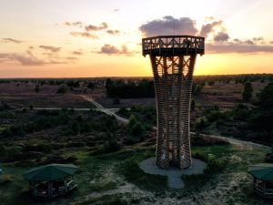 Blick auf Sielmann-Turm in Abendsonne