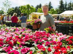 Verkaufsstand mit vielen Blumen